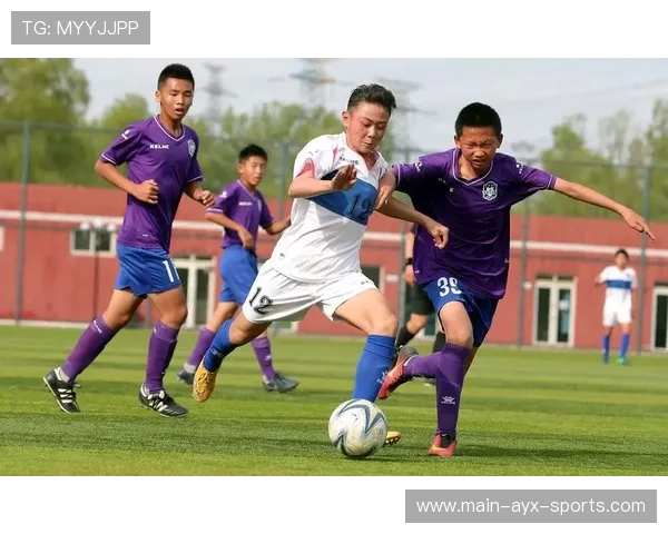 中国足球青训投入回报率与效益监测，中国足球青训体系现状