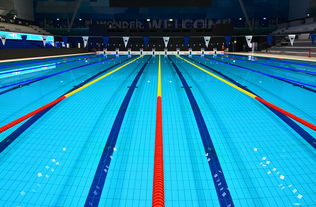 爱游戏中国官方网站平台-体坛记忆｜福冈世锦赛蝶泳决赛，张雨霏最后5米不换气狂冲，逆袭夺金